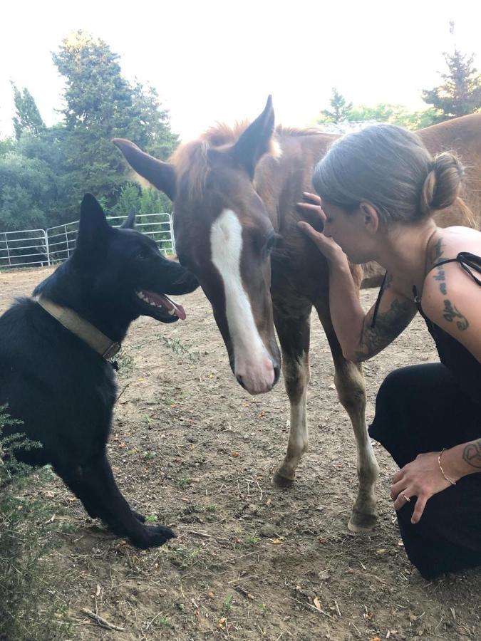 Podere Orzale Hospitality & Quarter Horses Usigliano المظهر الخارجي الصورة