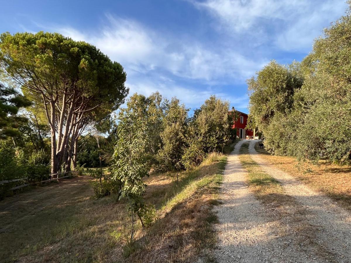Podere Orzale Hospitality & Quarter Horses Usigliano المظهر الخارجي الصورة