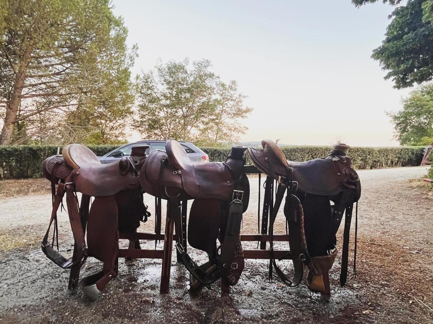 Podere Orzale Hospitality & Quarter Horses Usigliano المظهر الخارجي الصورة