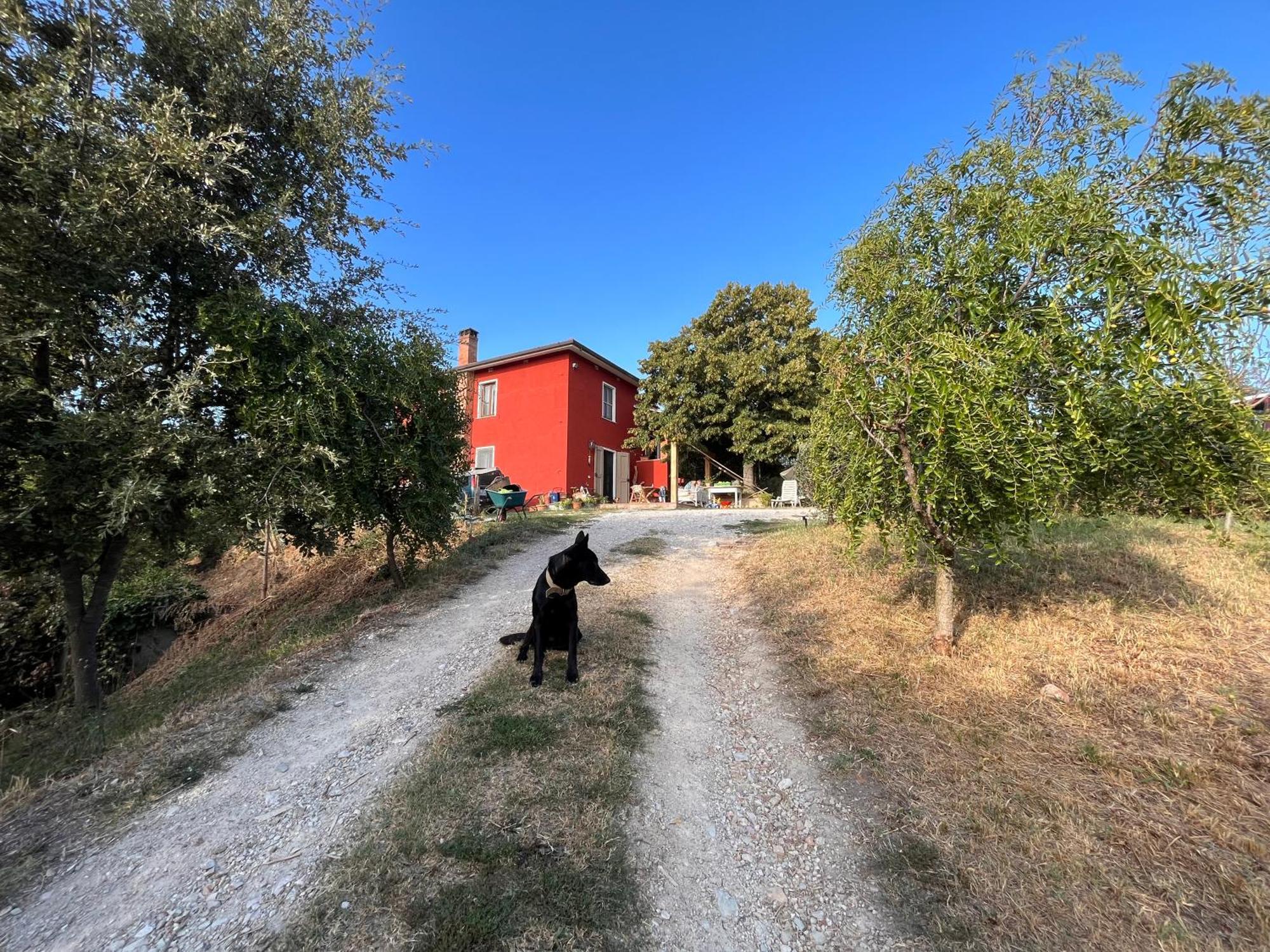 Podere Orzale Hospitality & Quarter Horses Usigliano المظهر الخارجي الصورة