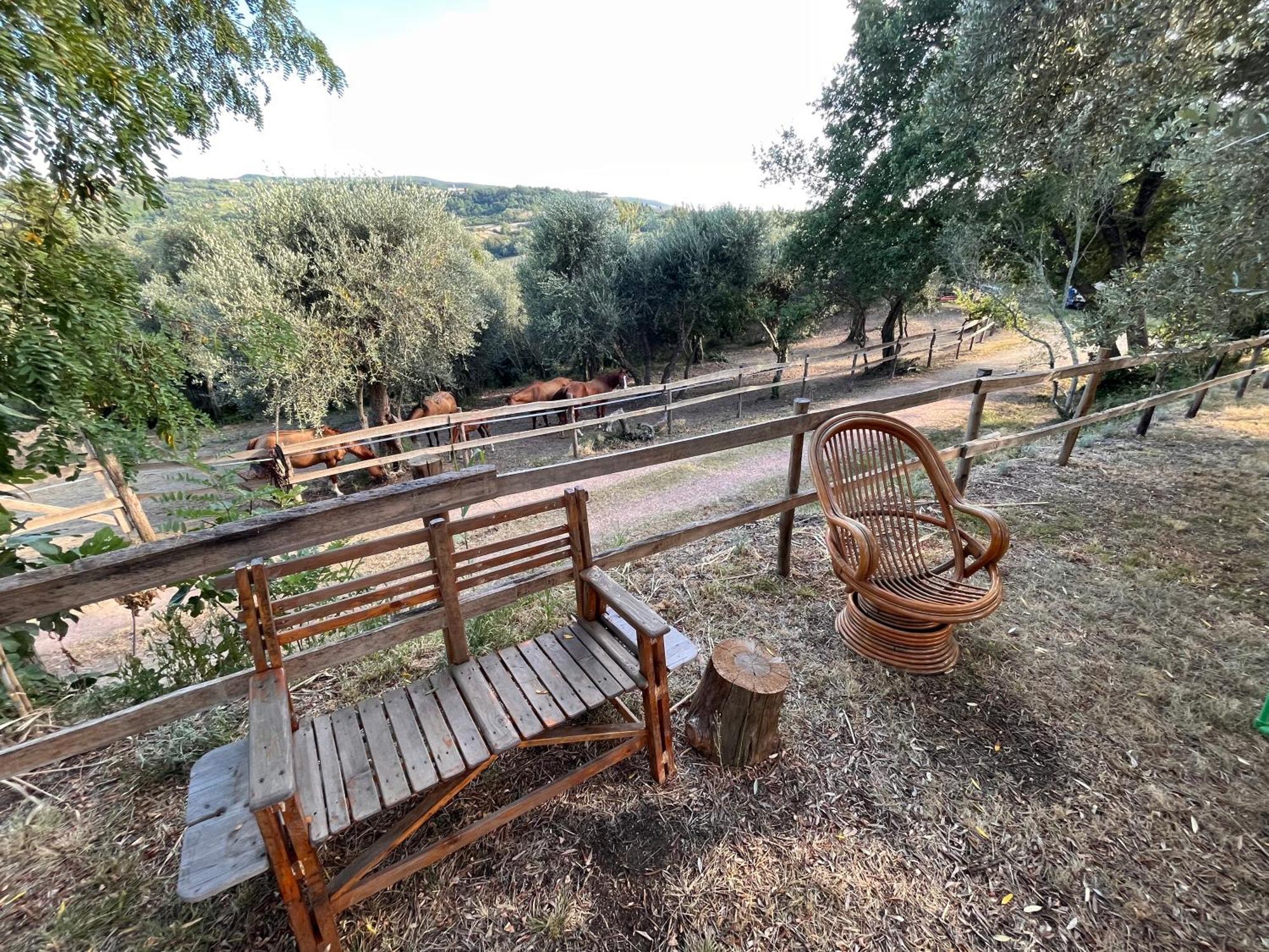 Podere Orzale Hospitality & Quarter Horses Usigliano المظهر الخارجي الصورة