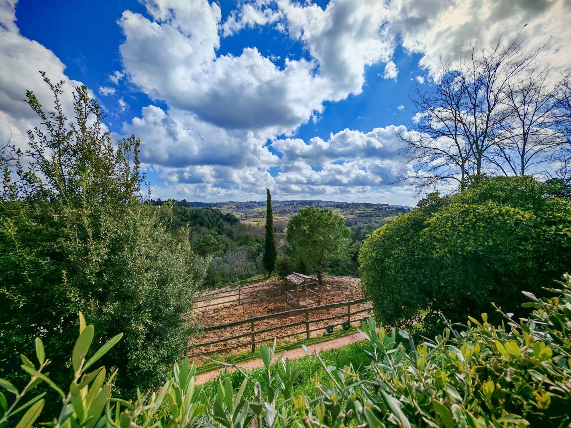 Podere Orzale Hospitality & Quarter Horses Usigliano المظهر الخارجي الصورة
